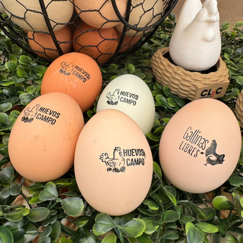 Timbre para estampar Huevos