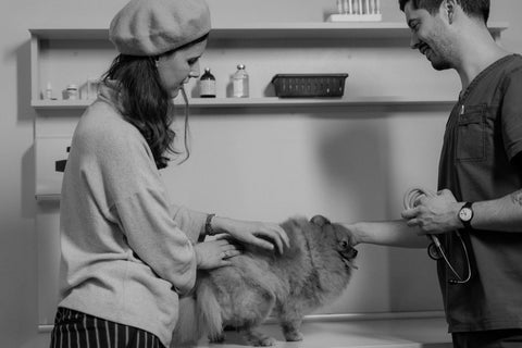 Veterinaria atendiendo a un perro junto a su tutora: carnet veterinario personalizado