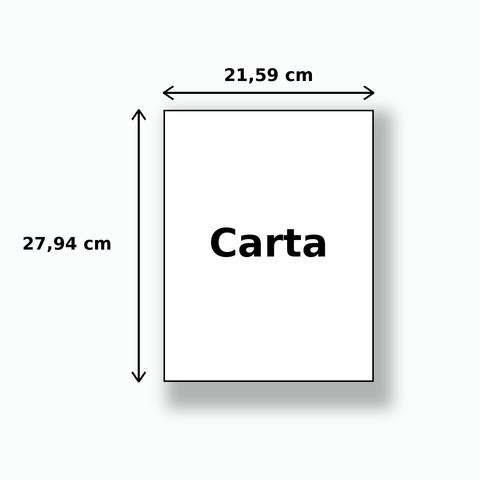 Impresión Hoja Carta a Color o Blanco y negro con Anillado o Encuadernación opcional